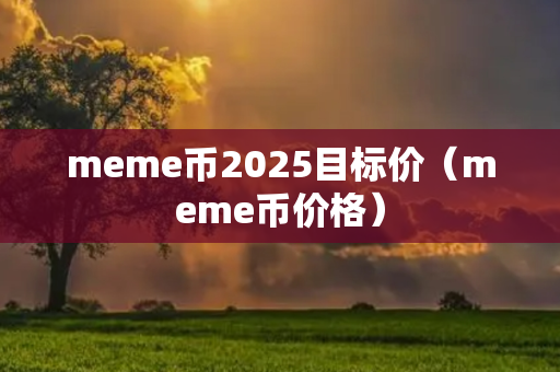 meme币2025目标价（meme币价格）