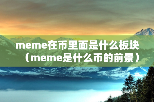 meme在币里面是什么板块（meme是什么币的前景）