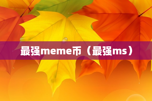 最强meme币（最强ms）