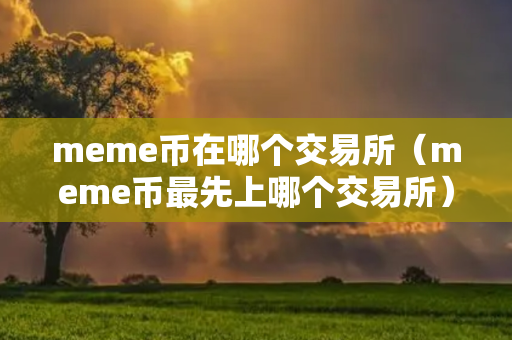 meme币在哪个交易所（meme币最先上哪个交易所）