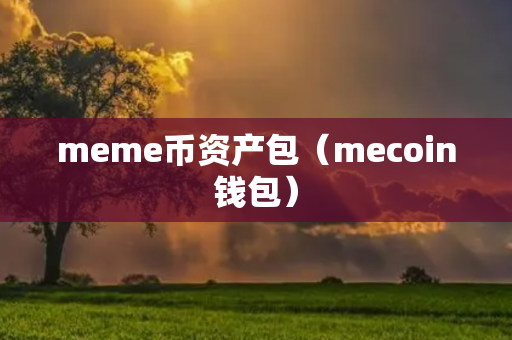 meme币资产包（mecoin钱包）