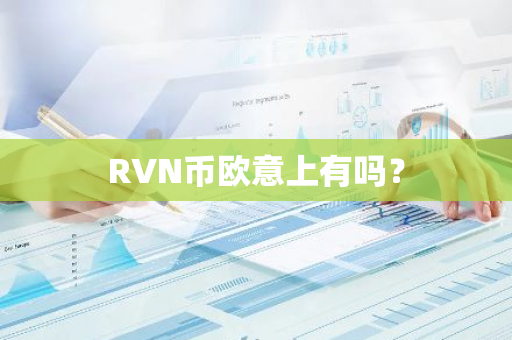 RVN币欧意上有吗？