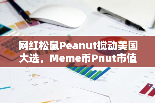 网红松鼠Peanut搅动美国大选，Meme币Pnut市值一度破亿