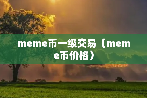 meme币一级交易（meme币价格）