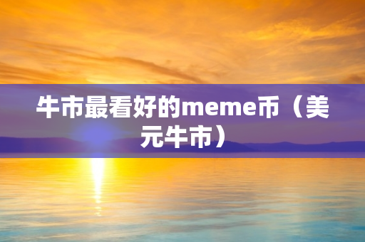 牛市最看好的meme币（美元牛市）