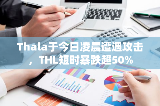 Thala于今日凌晨遭遇攻击，THL短时暴跌超50%