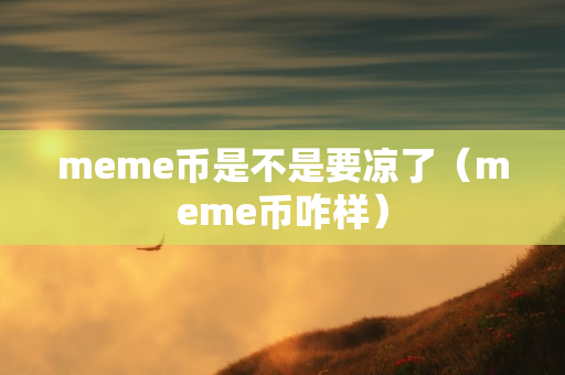 meme币是不是要凉了（meme币咋样）