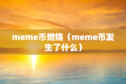 meme币燃烧（meme币发生了什么）