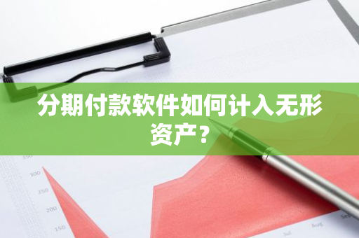 分期付款软件如何计入无形资产？