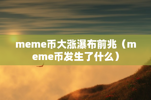 meme币大涨瀑布前兆（meme币发生了什么）