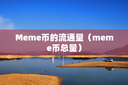 Meme币的流通量（meme币总量）