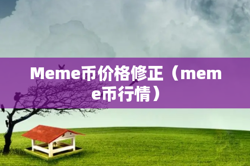 Meme币价格修正（meme币行情）