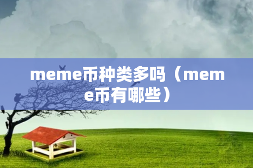 meme币种类多吗（meme币有哪些）