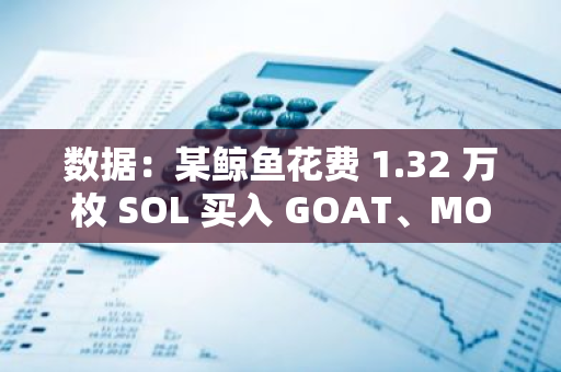 数据：某鲸鱼花费 1.32 万枚 SOL 买入 GOAT、MOODENG 和 ZEREBRO