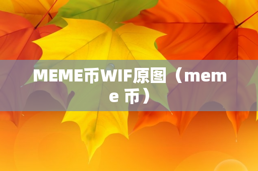 MEME币WIF原图（meme 币）