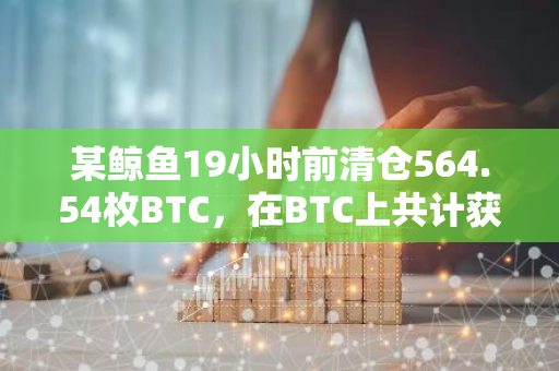 某鲸鱼19小时前清仓564.54枚BTC，在BTC上共计获利1.1184亿美元