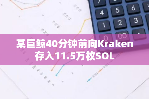 某巨鲸40分钟前向Kraken存入11.5万枚SOL