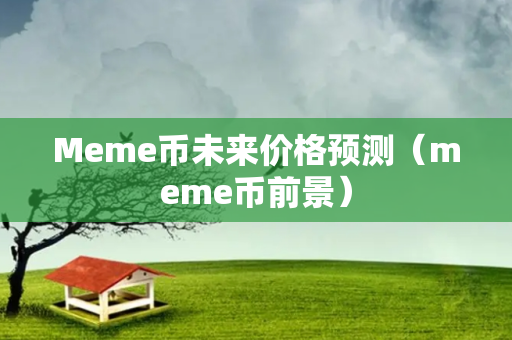 Meme币未来价格预测（meme币前景）