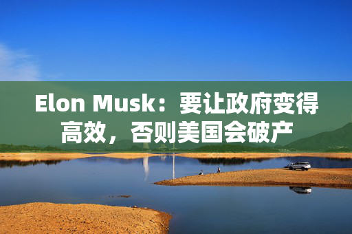 Elon Musk：要让政府变得高效，否则美国会破产