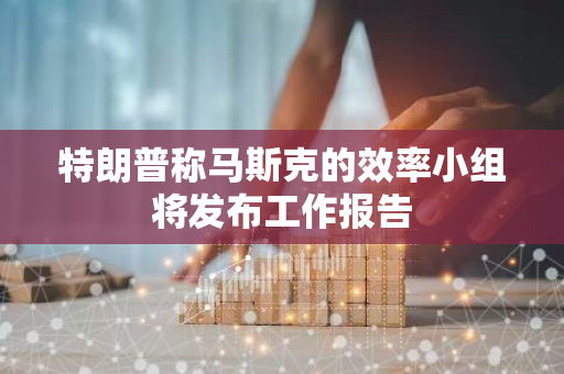 特朗普称马斯克的效率小组将发布工作报告