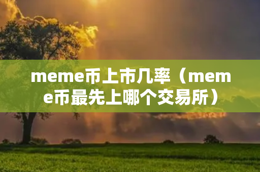 meme币上市几率（meme币最先上哪个交易所）