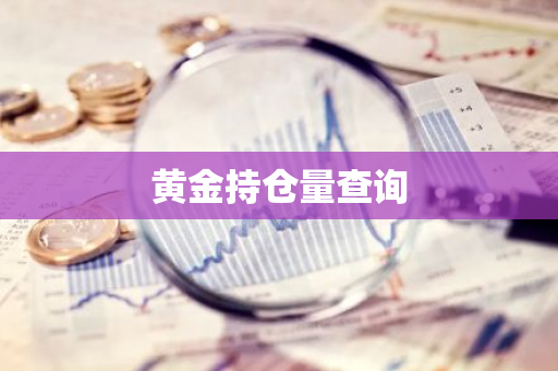 黄金持仓量查询