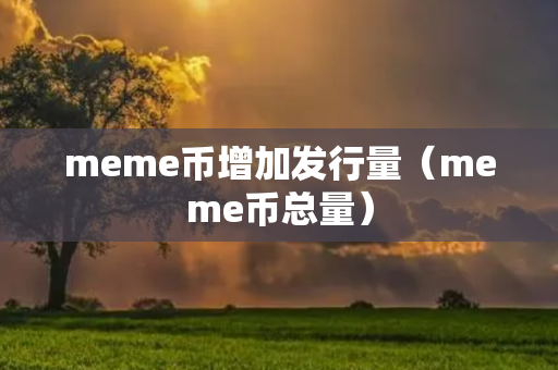 meme币增加发行量（meme币总量）