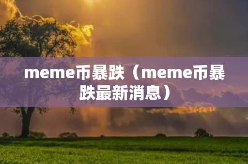 meme币暴跌（meme币暴跌最新消息）