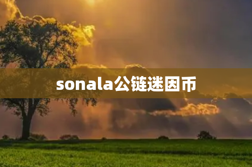 sonala公链迷因币