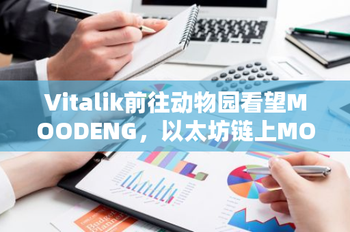 Vitalik前往动物园看望MOODENG，以太坊链上MOODENG涨超150%