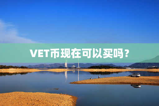 VET币现在可以买吗？