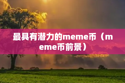 最具有潜力的meme币（meme币前景）