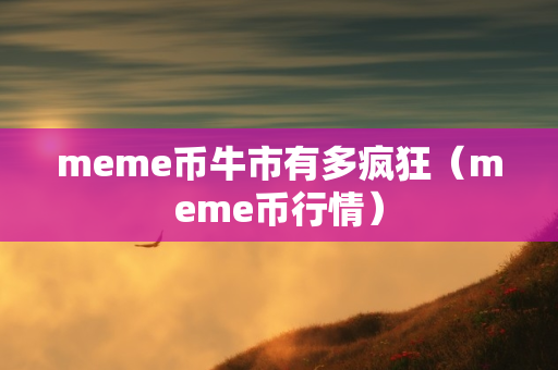 meme币牛市有多疯狂（meme币行情）