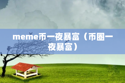 meme币一夜暴富（币圈一夜暴富）