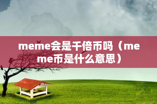 meme会是千倍币吗（meme币是什么意思）