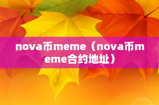 nova币meme（nova币meme合约地址）