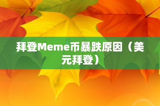 拜登Meme币暴跌原因（美元拜登）