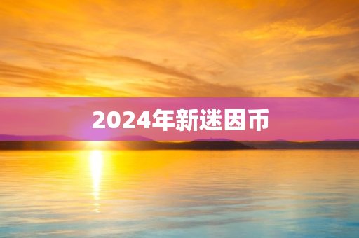 2024年新迷因币