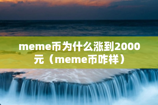 meme币为什么涨到2000元（meme币咋样）