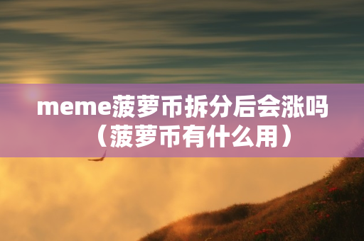 meme菠萝币拆分后会涨吗（菠萝币有什么用）