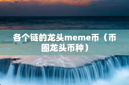 各个链的龙头meme币（币圈龙头币种）