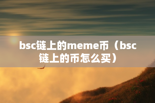 bsc链上的meme币（bsc链上的币怎么买）