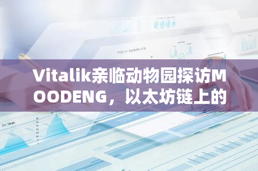 Vitalik亲临动物园探访MOODENG，以太坊链上的MOODENG价值飙升超过142%