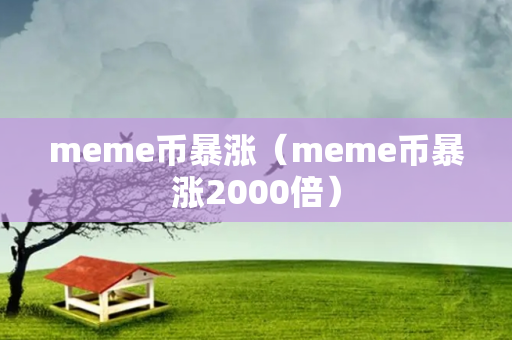 meme币暴涨（meme币暴涨2000倍）