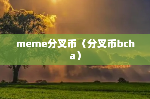 meme分叉币（分叉币bcha）