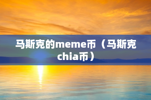 马斯克的meme币（马斯克chia币）