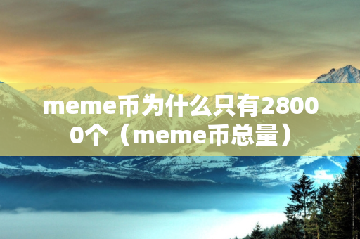 meme币为什么只有28000个（meme币总量）