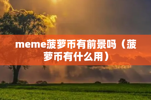 meme菠萝币有前景吗（菠萝币有什么用）