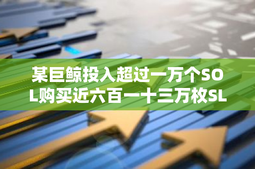 某巨鲸投入超过一万个SOL购买近六百一十三万枚SLERF，引发市场关注