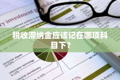 税收滞纳金应该记在哪项科目下？